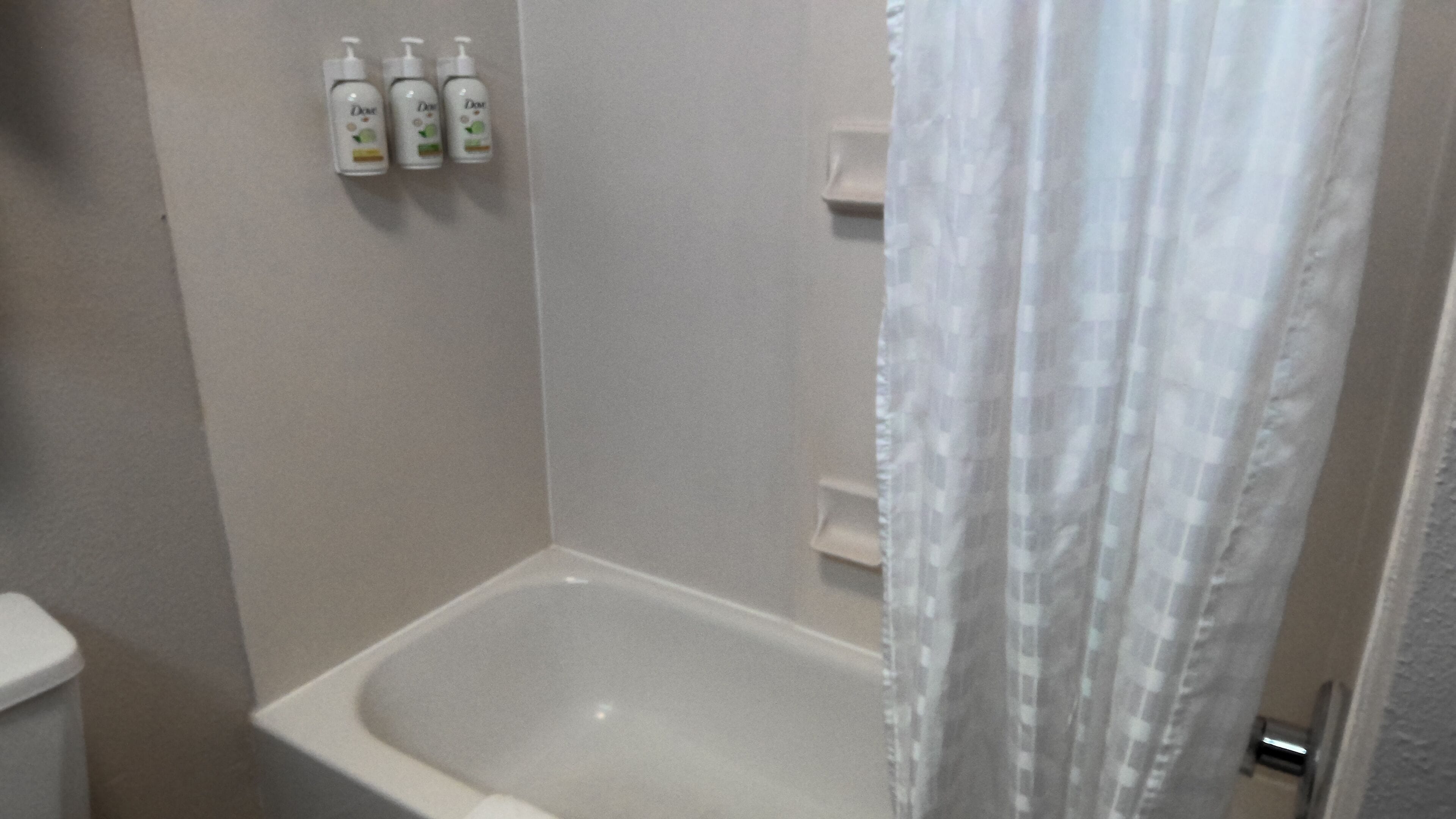 A bathroom with a bathtub, a toilet, and three bottles of Dove body wash on the wall.