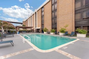 Outdoor pool, sun loungers