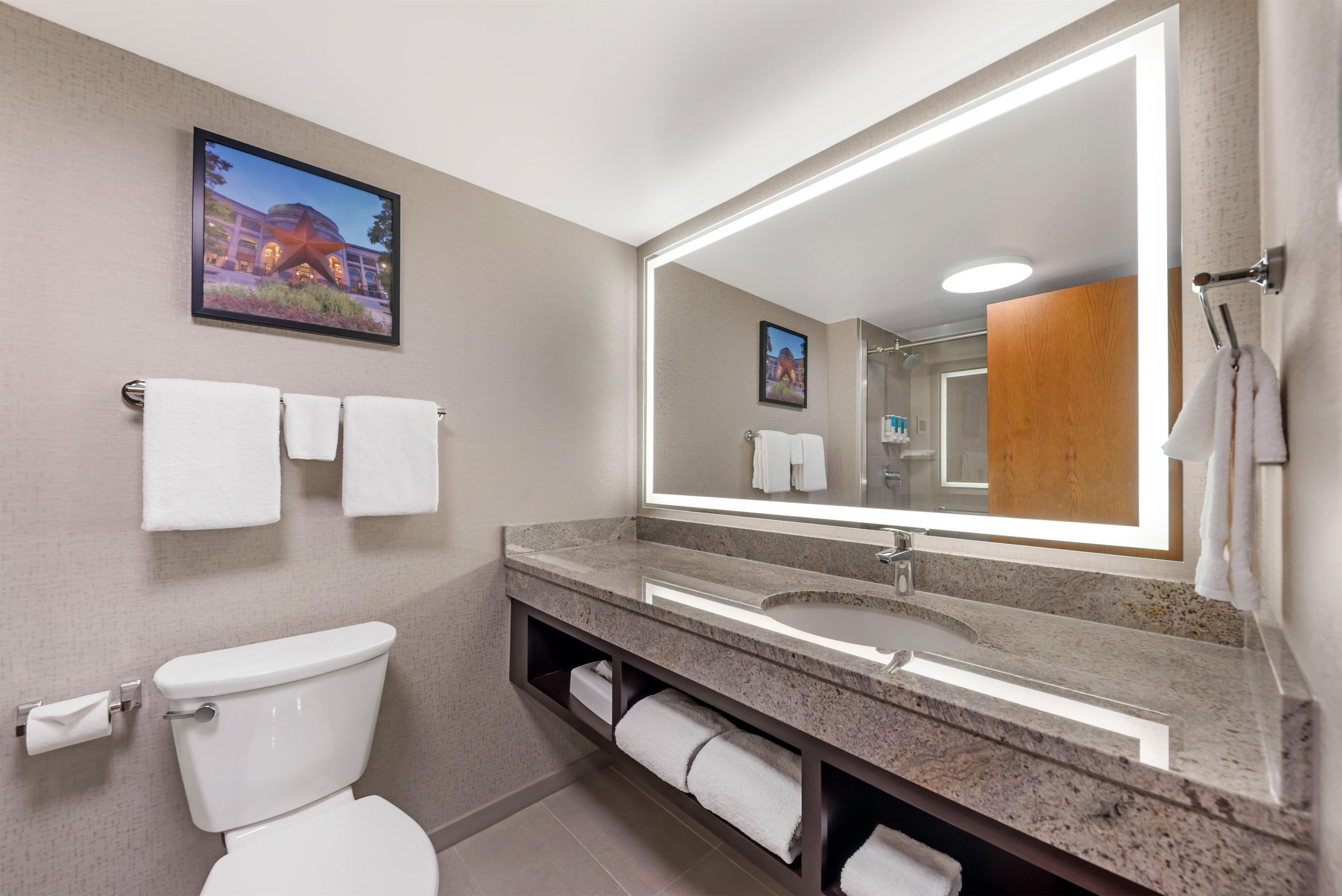A modern bathroom with a toilet, sink, and large mirror.