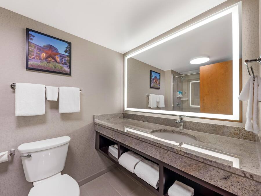 A modern bathroom with a toilet, sink, and large mirror.