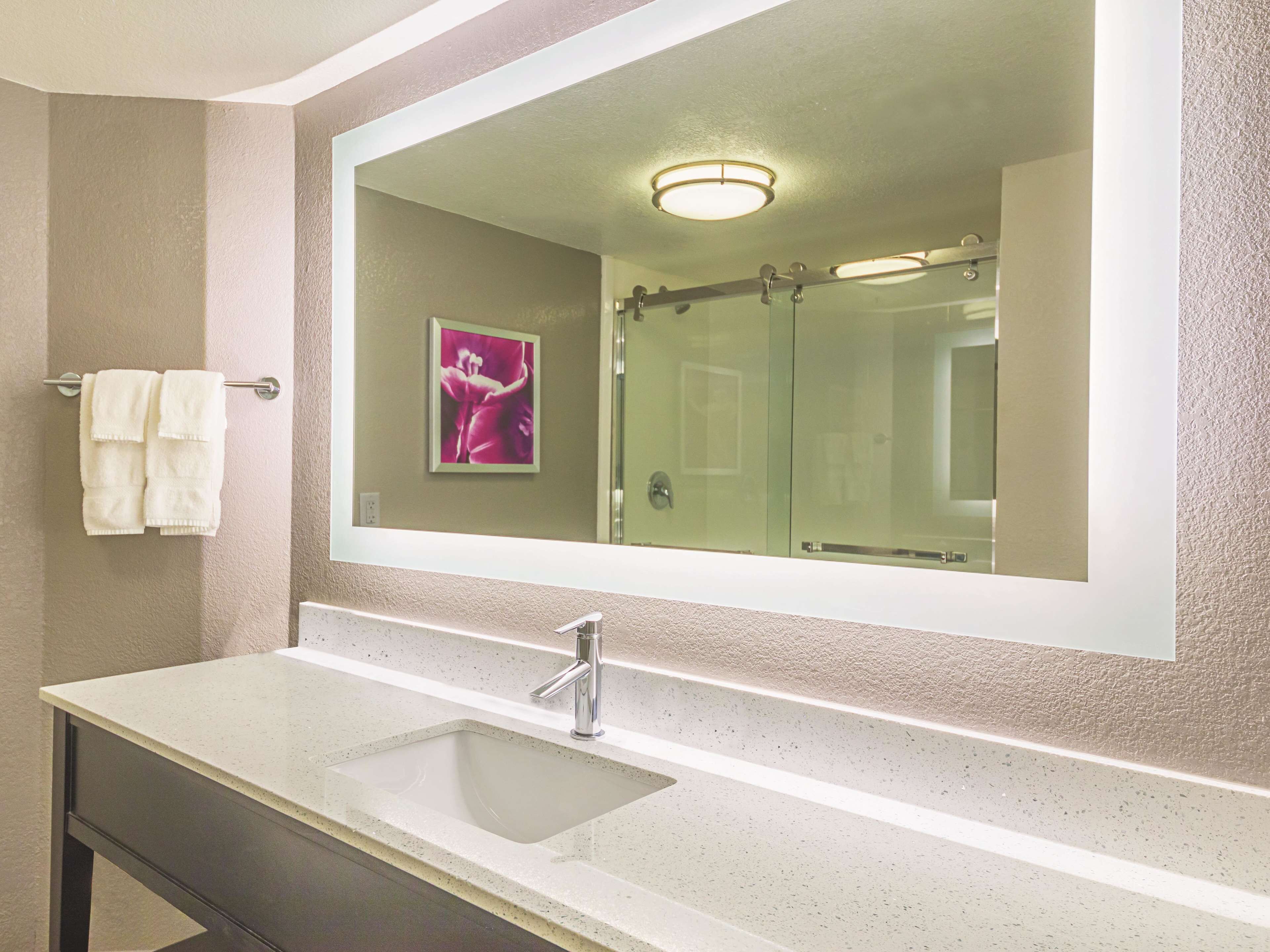A bathroom with a large mirror, a sink, and a towel rack.