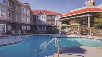 Outdoor pool, pool umbrellas, sun loungers