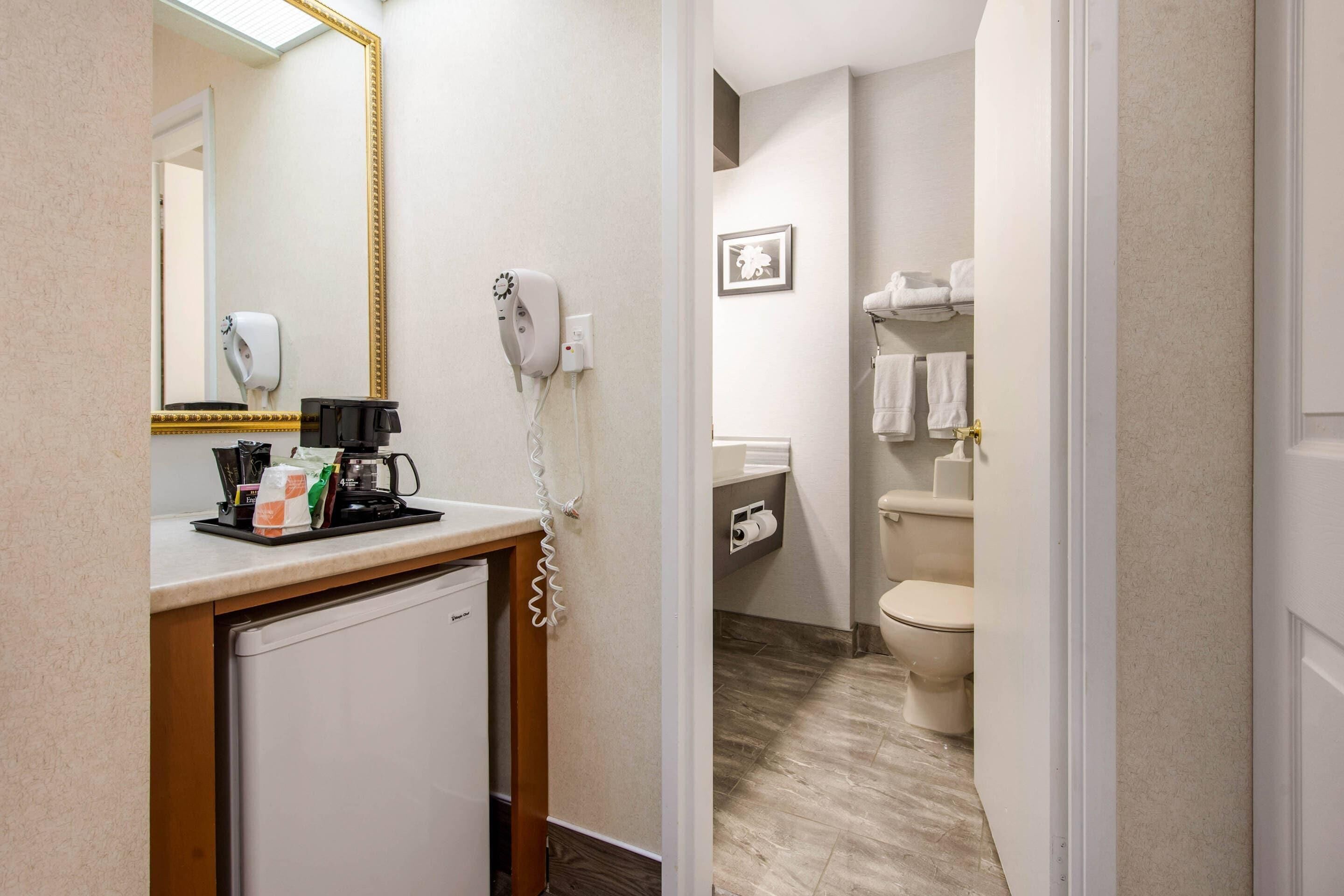 A hotel bathroom with a sink, mirror, hairdryer, and towel rack.