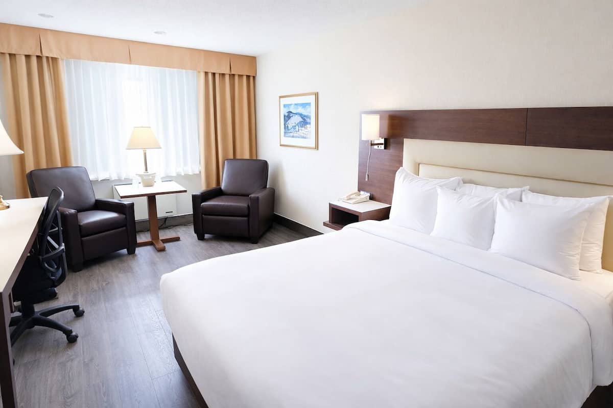 Business Room, 1 King Bed, Non Smoking | Hypo-allergenic bedding, desk, laptop workspace, blackout drapes