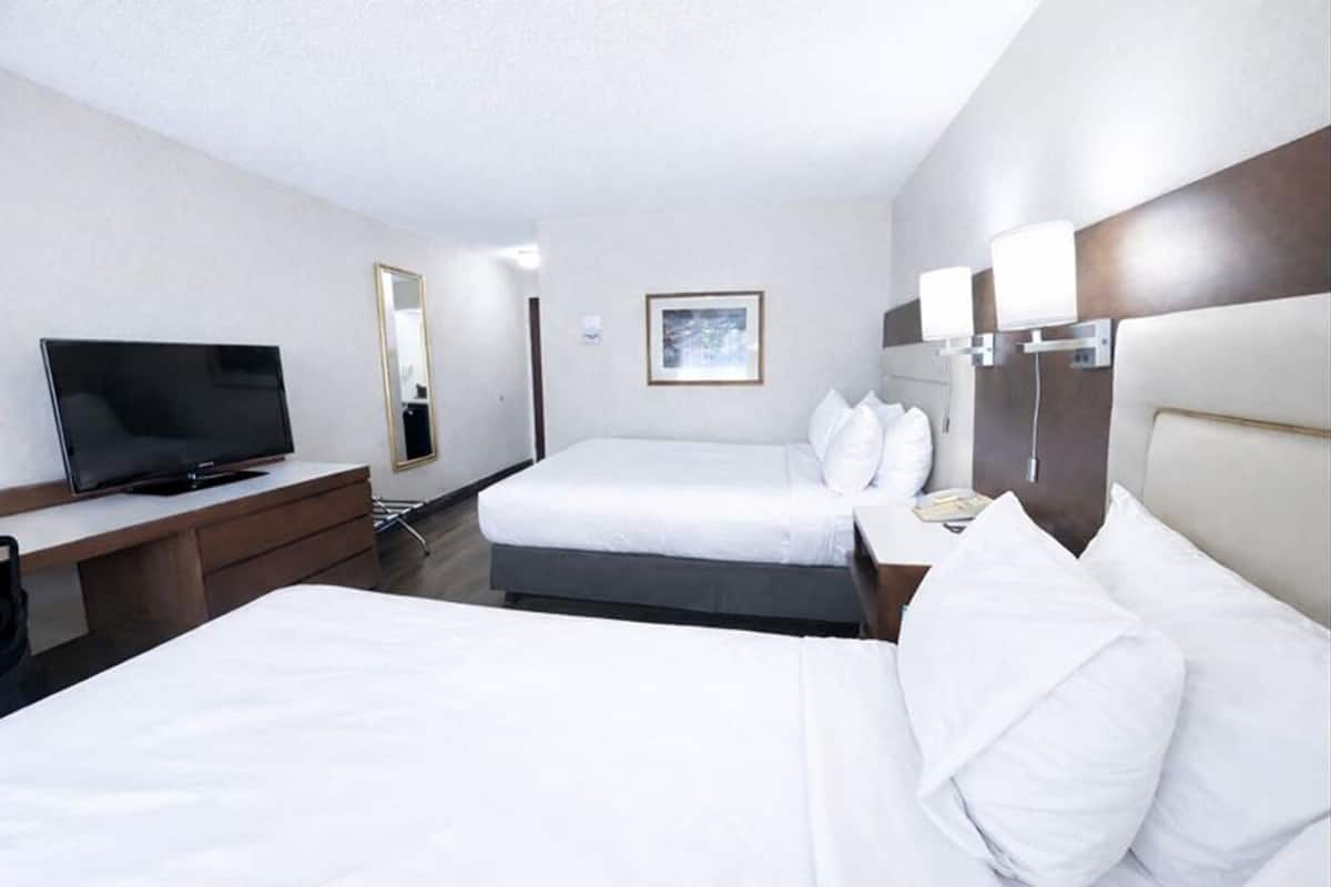 Hypo-allergenic bedding, desk, laptop workspace, blackout curtains