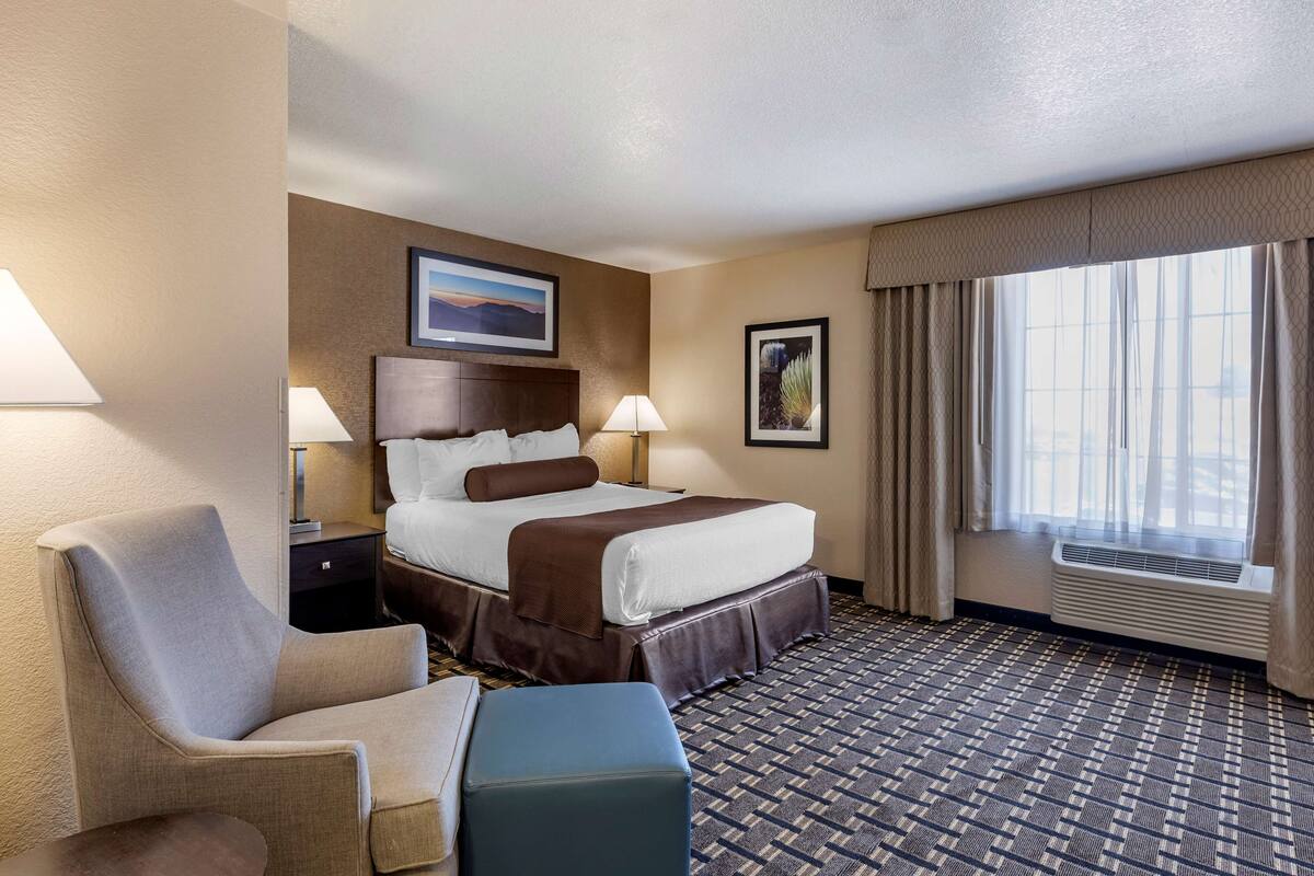 Ein Hotelzimmer mit Bett, Sessel, Schreibtisch und einem fensterbepflanzten Fenster.