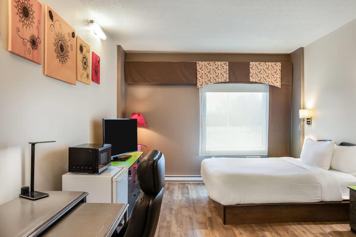 Camera, 1 letto queen, non fumatori | Biancheria da letto di alta qualità, copriletto in piuma