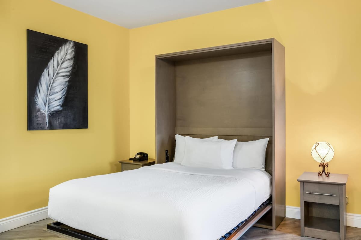 Suite, 1 letto queen, non fumatori | Biancheria da letto di alta qualità, copriletto in piuma