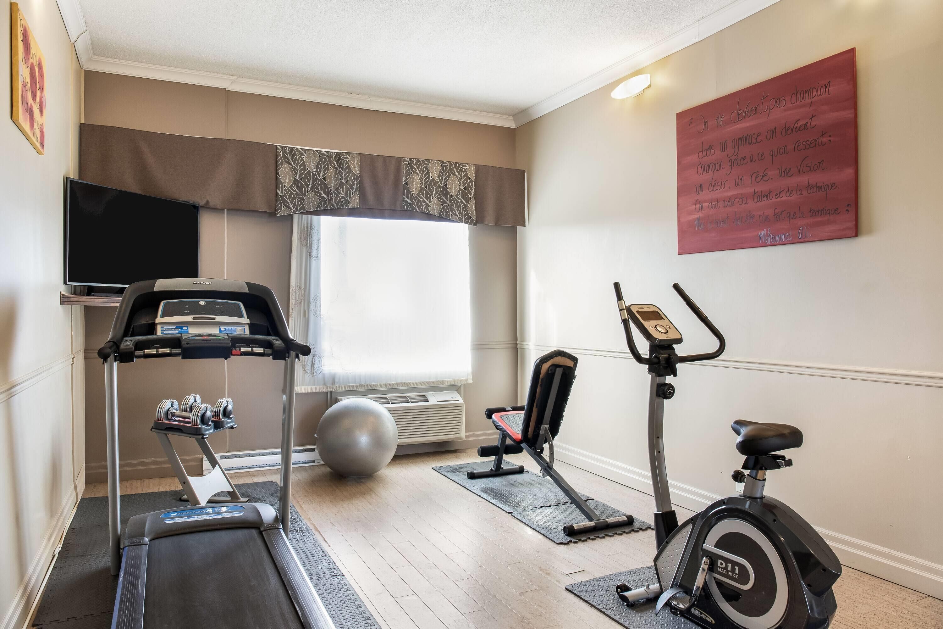 Gimnasio en casa con cinta de correr, bicicleta estática, pelota de ejercicios y mancuernas.