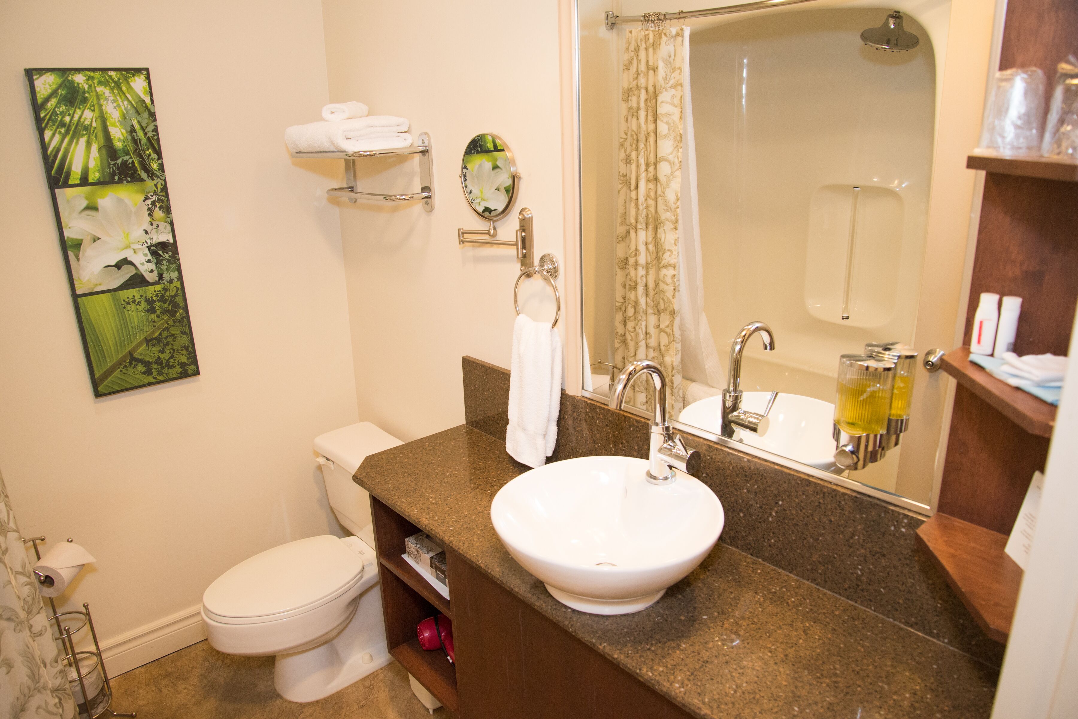 room, 1 king bed, non smoking | bathroom | combined shower/bathtub, deep-soaking bathtub, hydromassage showerhead