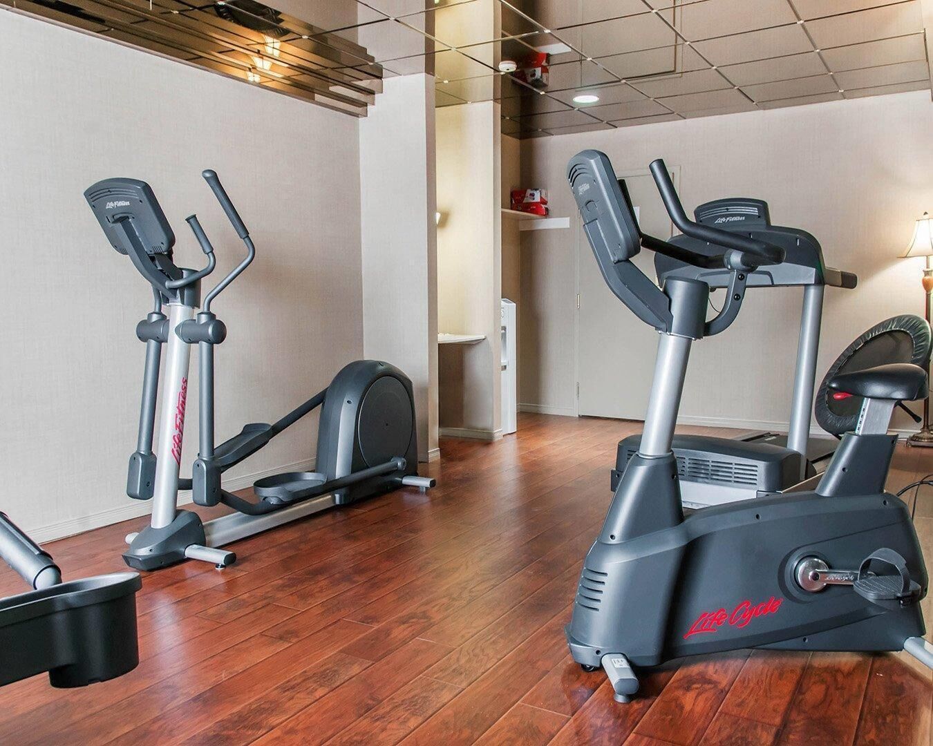A gym with two elliptical machines and a treadmill.