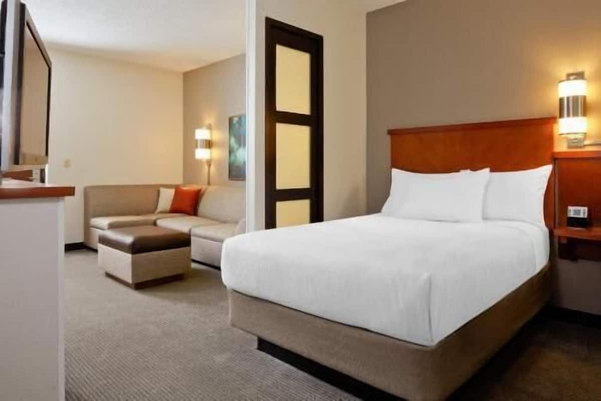 A hotel room with a bed, a sofa, a desk, and a lamp.