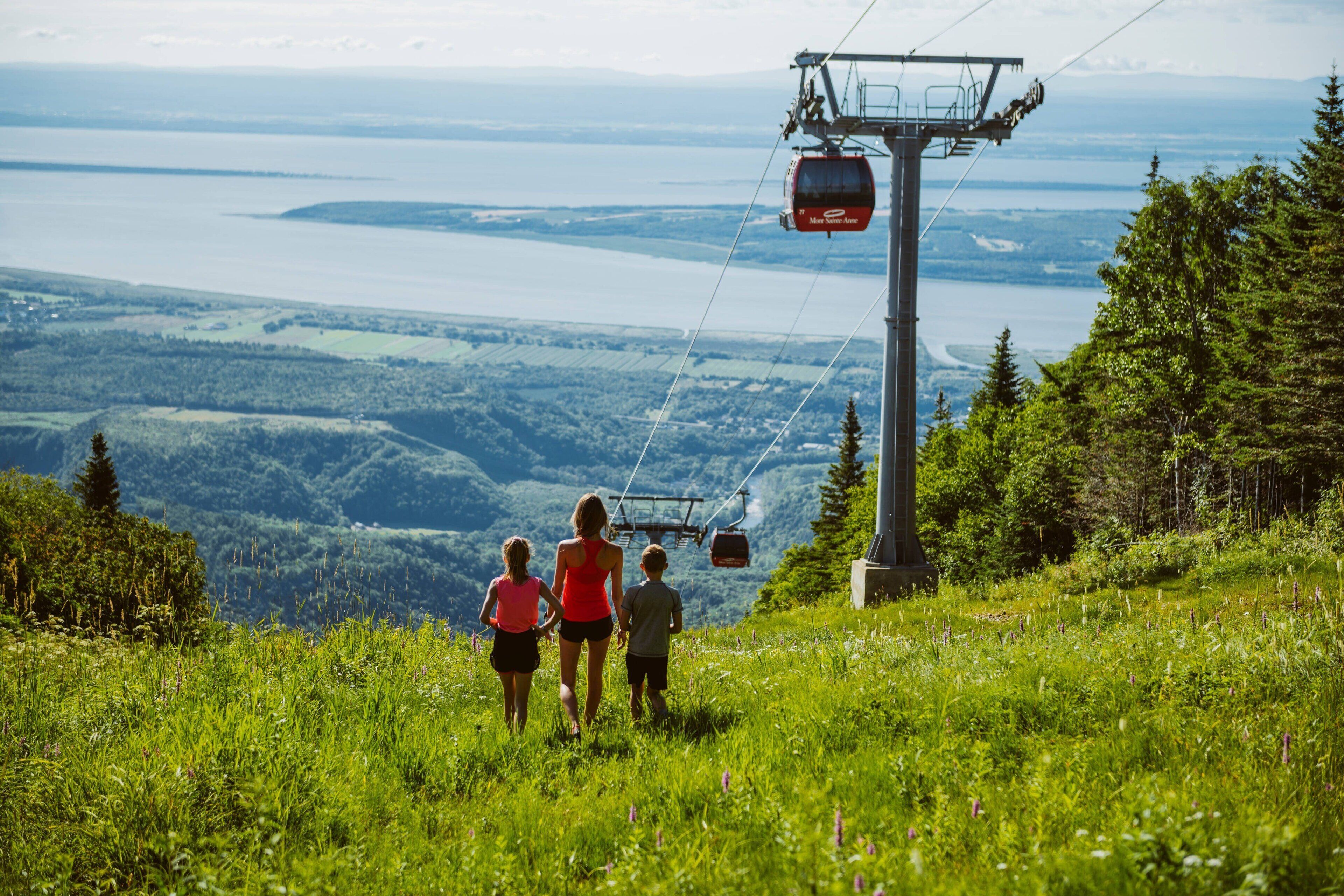 A cable car system with a clear view of a lake and forested landscape.