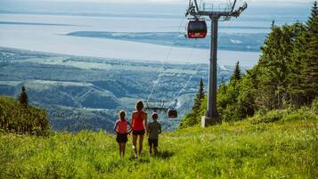 A cable car system with a clear view of a lake and forested landscape.