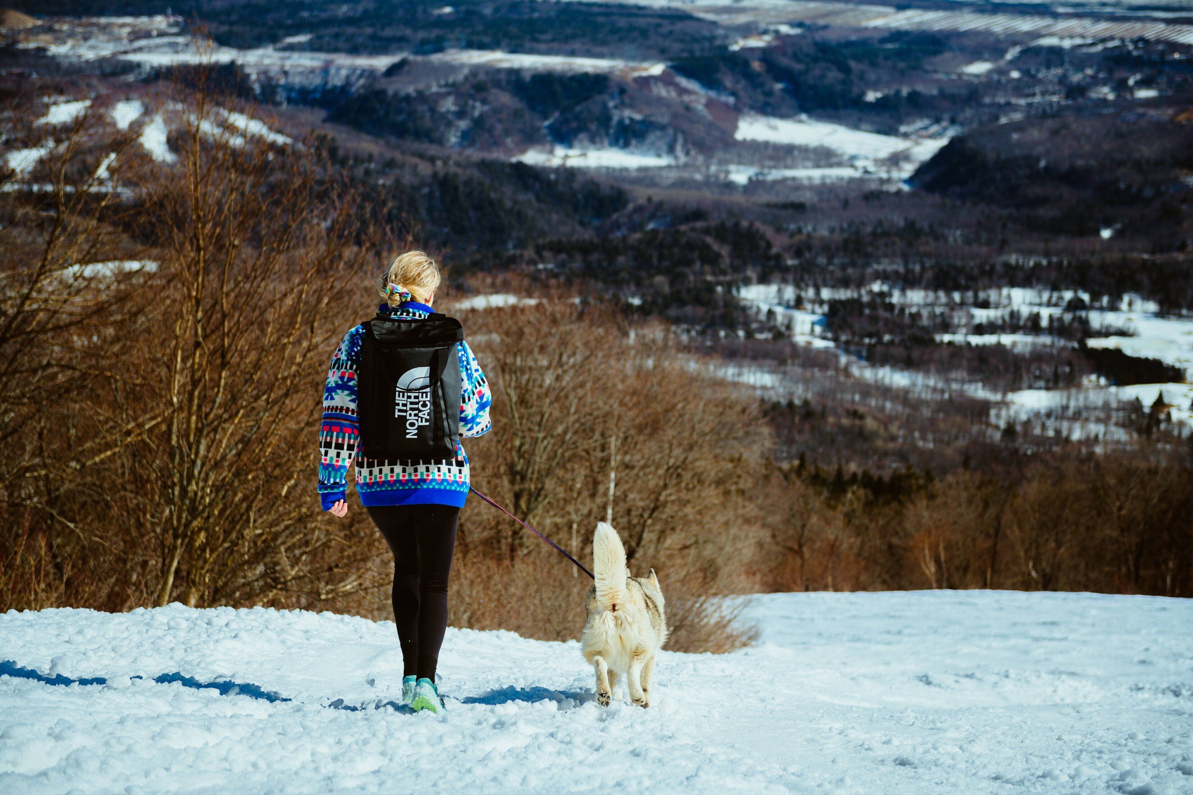 Una persona pasea un perro por un sendero nevado, con un paisaje montañoso de fondo.