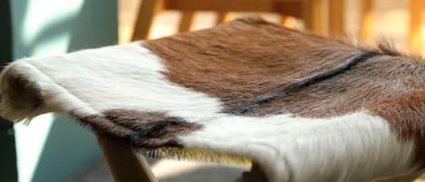 A close-up of a wooden chair with a cushion.