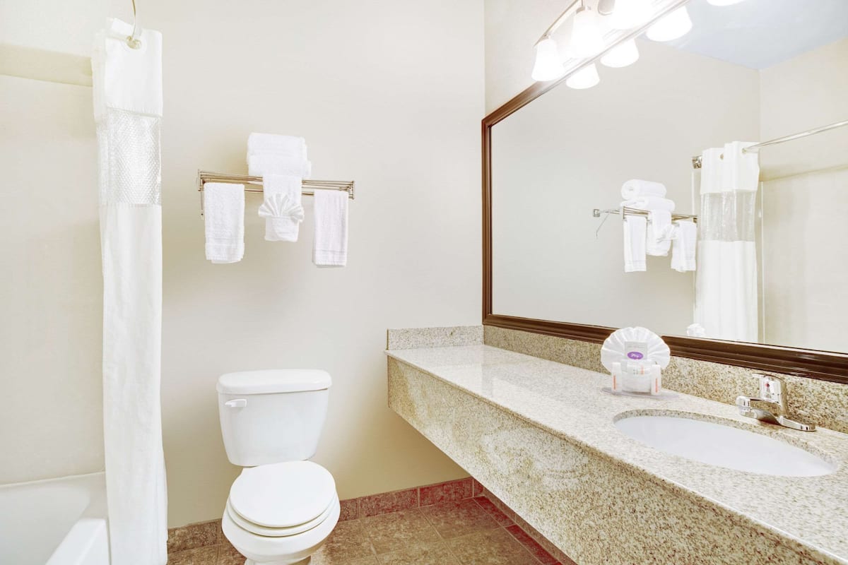 combined shower/bathtub, free toiletries, hair dryer, towels