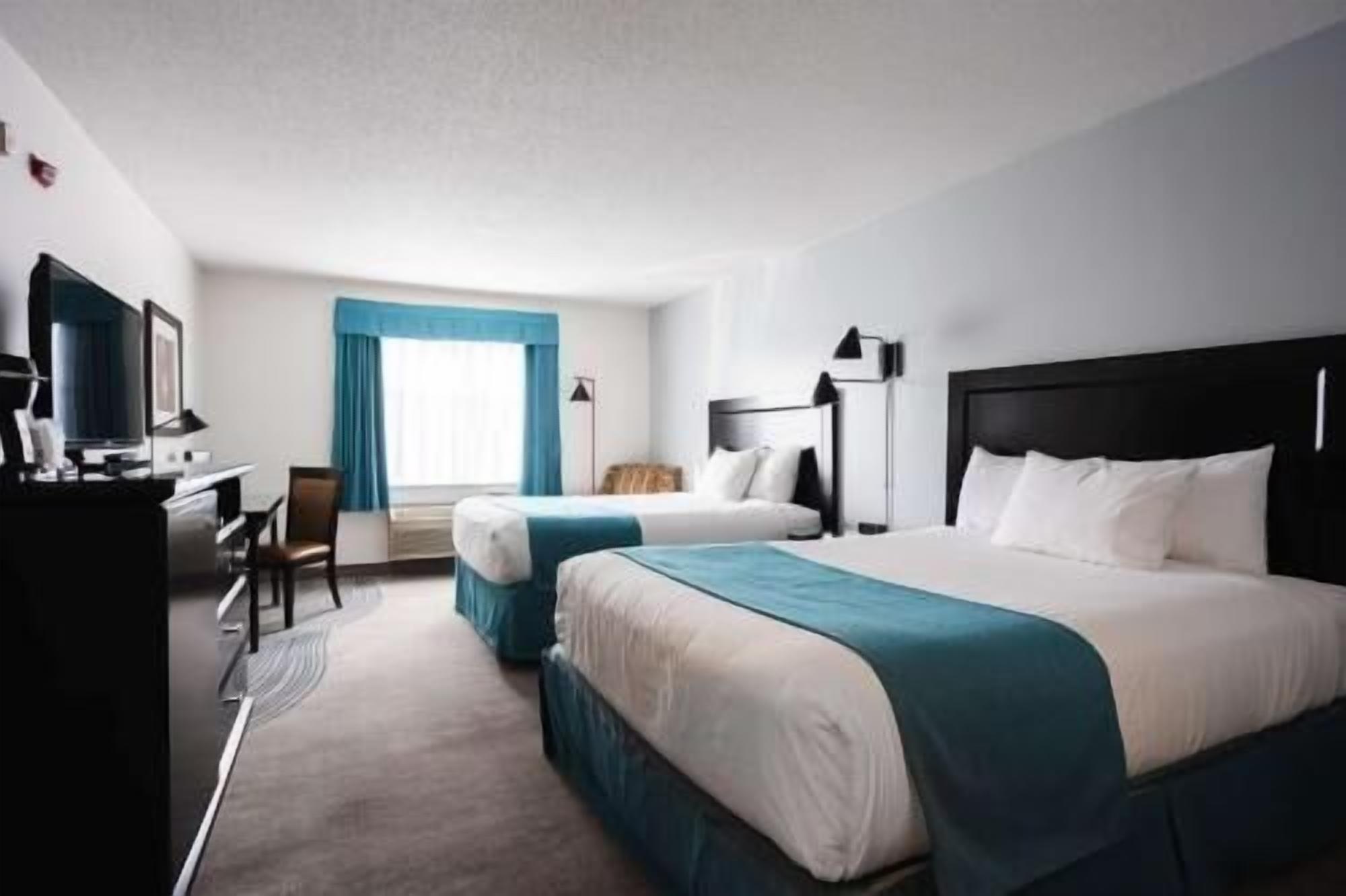 Premium bedding, in-room safe, desk, blackout curtains