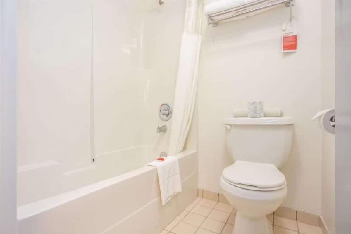 Bathroom | Combined shower/tub, free toiletries, hair dryer, towels