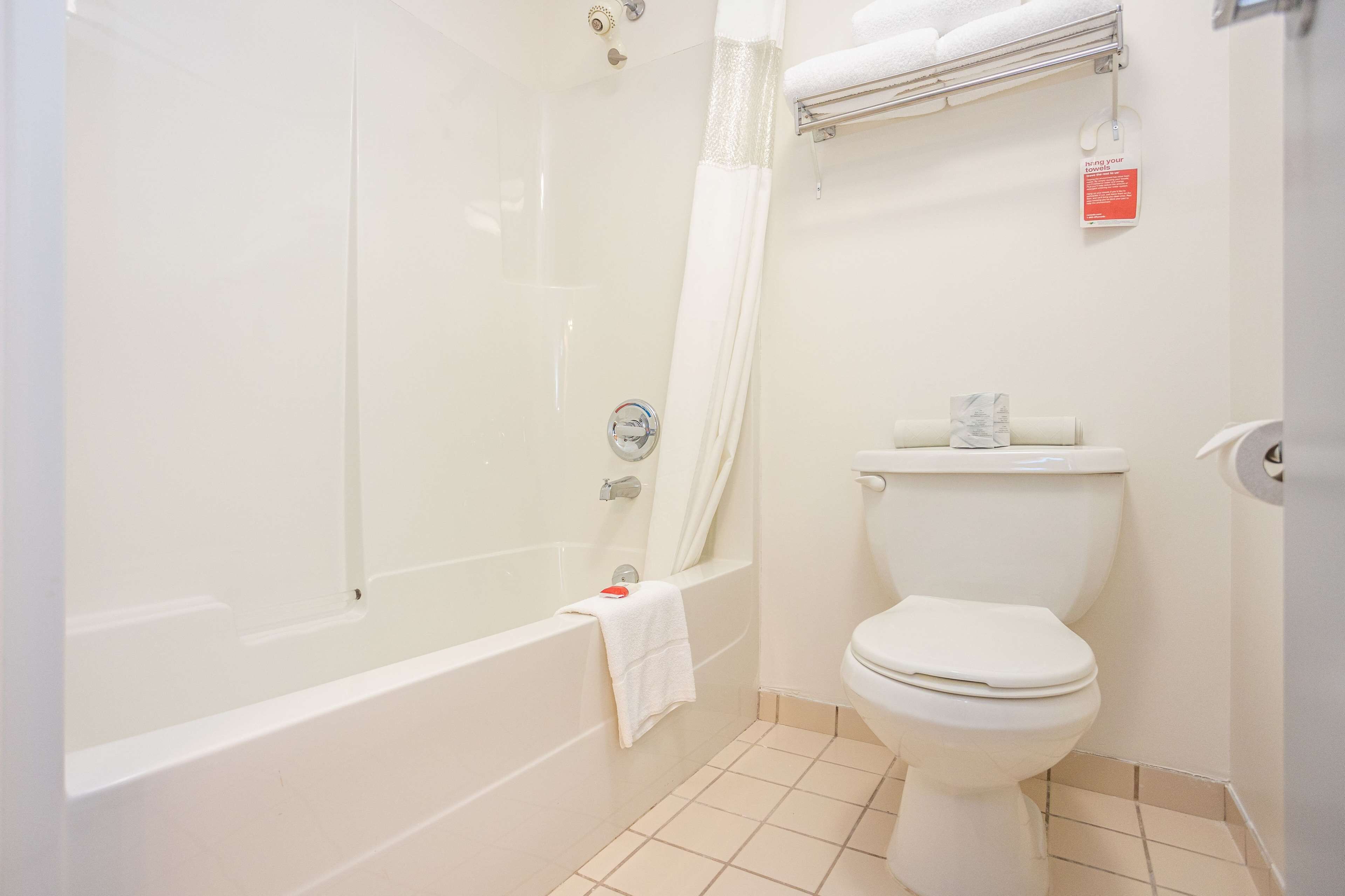 Combined shower/tub, free toiletries, hair dryer, towels