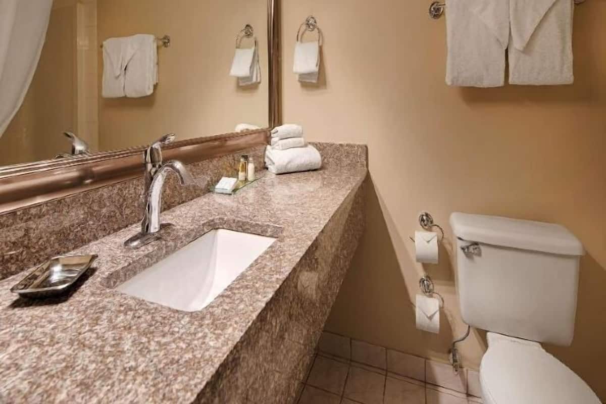 Combined shower/bathtub, free toiletries, hair dryer, towels