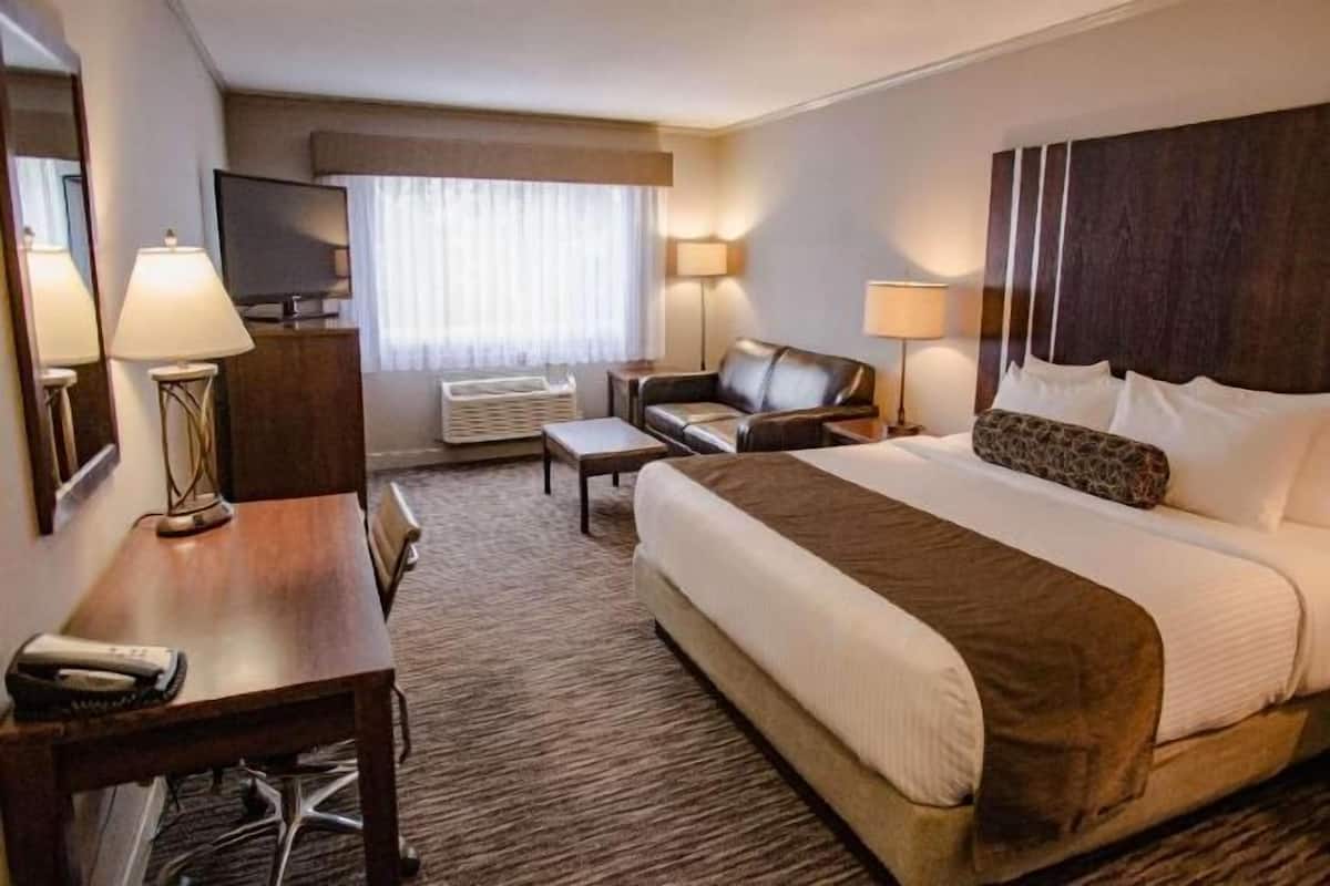 Desk, blackout curtains, iron/ironing board, free WiFi