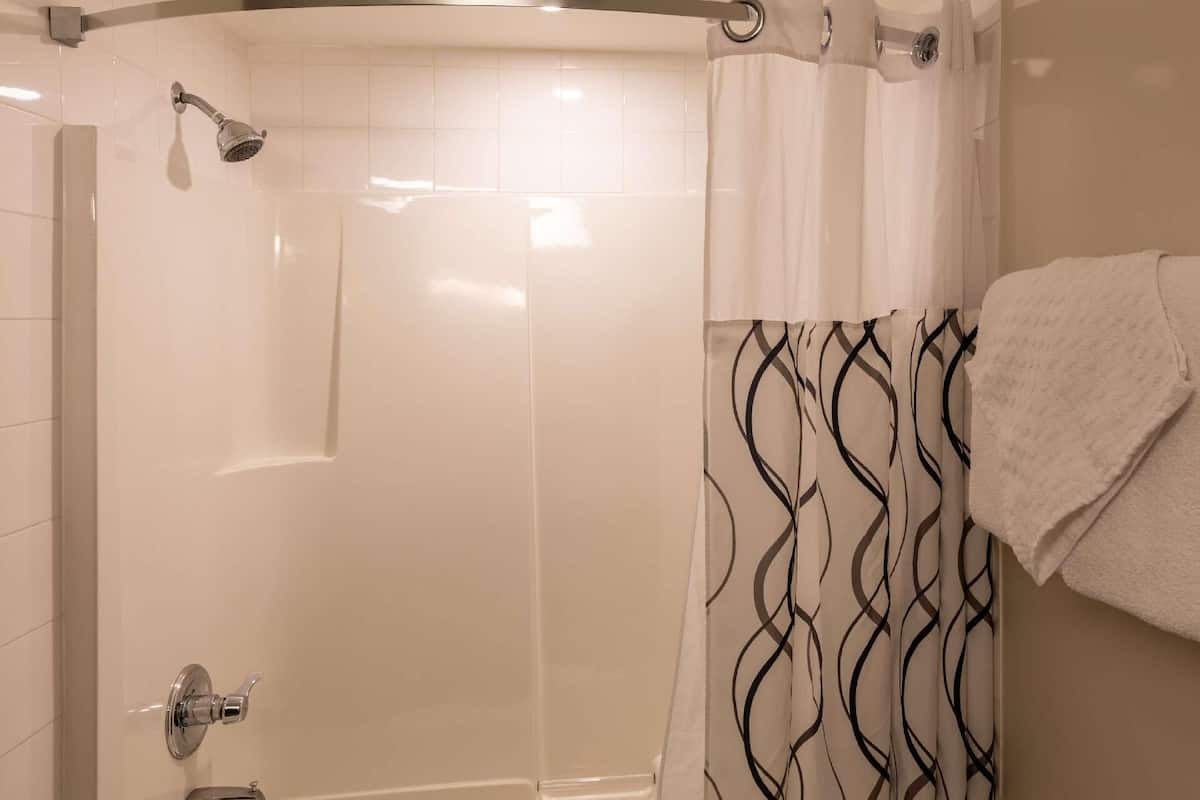Bathroom | Combined shower/tub, free toiletries, hair dryer, towels