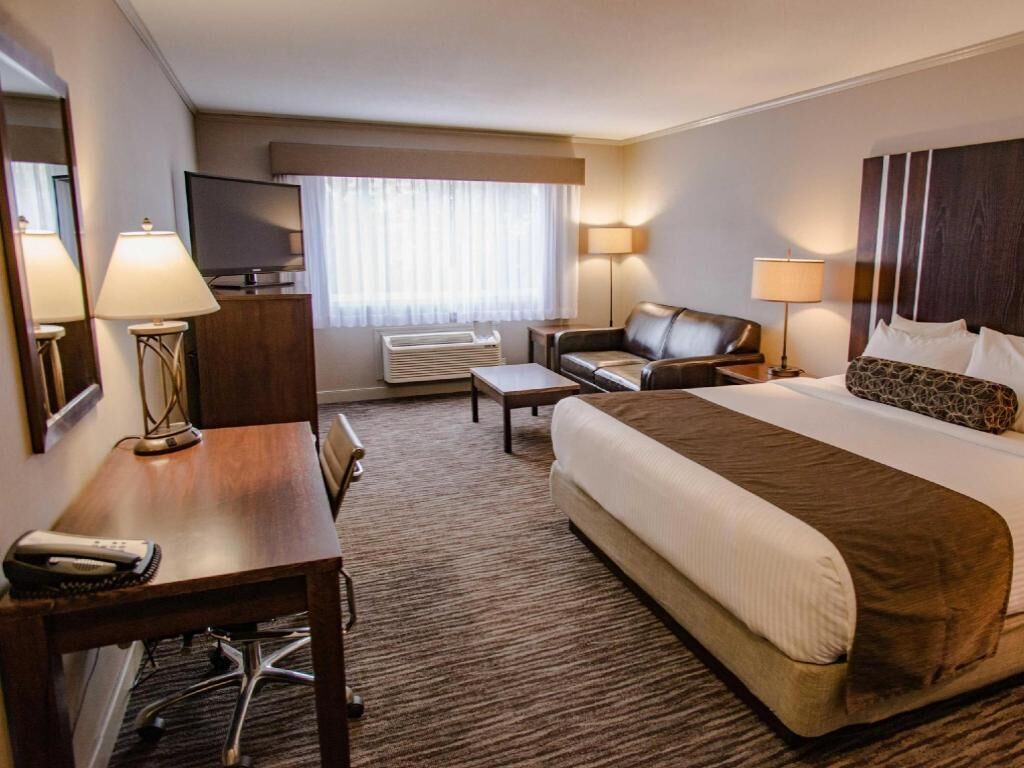 Desk, blackout curtains, iron/ironing board, free WiFi