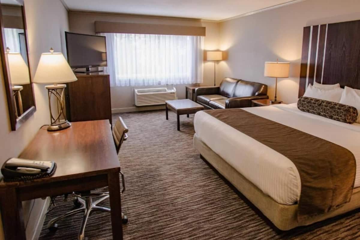 Desk, blackout drapes, iron/ironing board, free WiFi