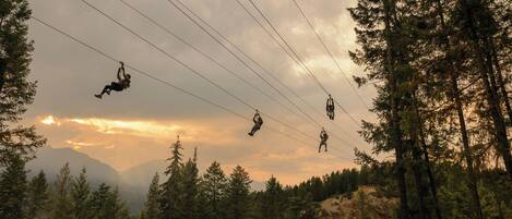 Land view from property