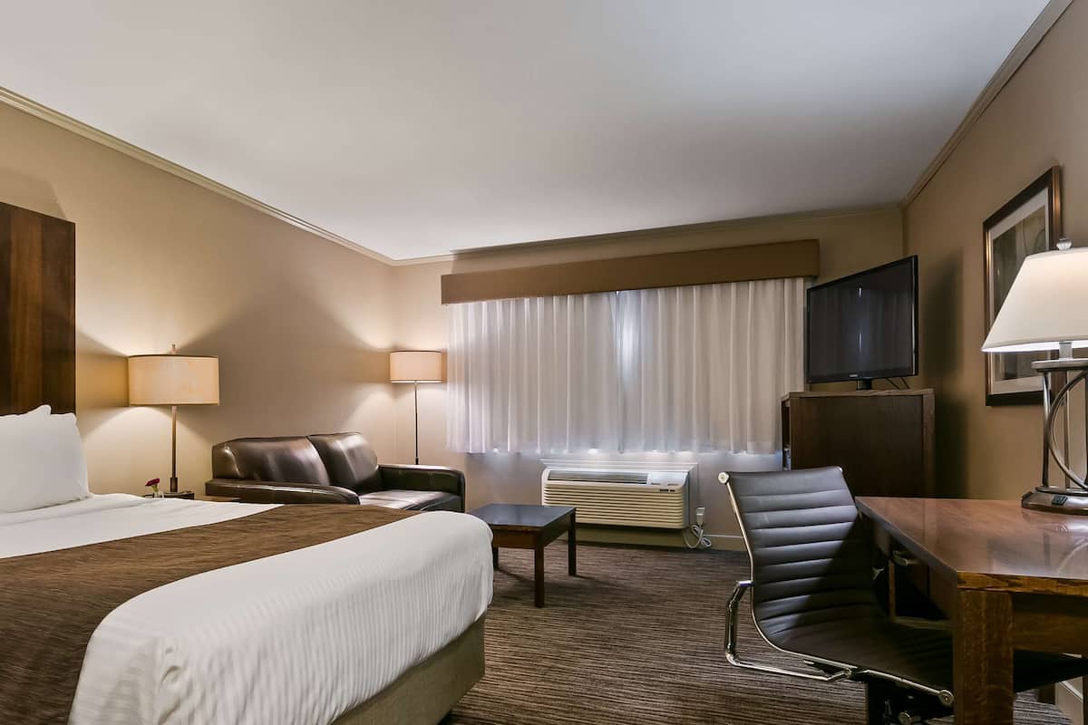 Skrivbord, mörkläggningsgardiner, strykjärn/strykbräda och gratis wi-fi