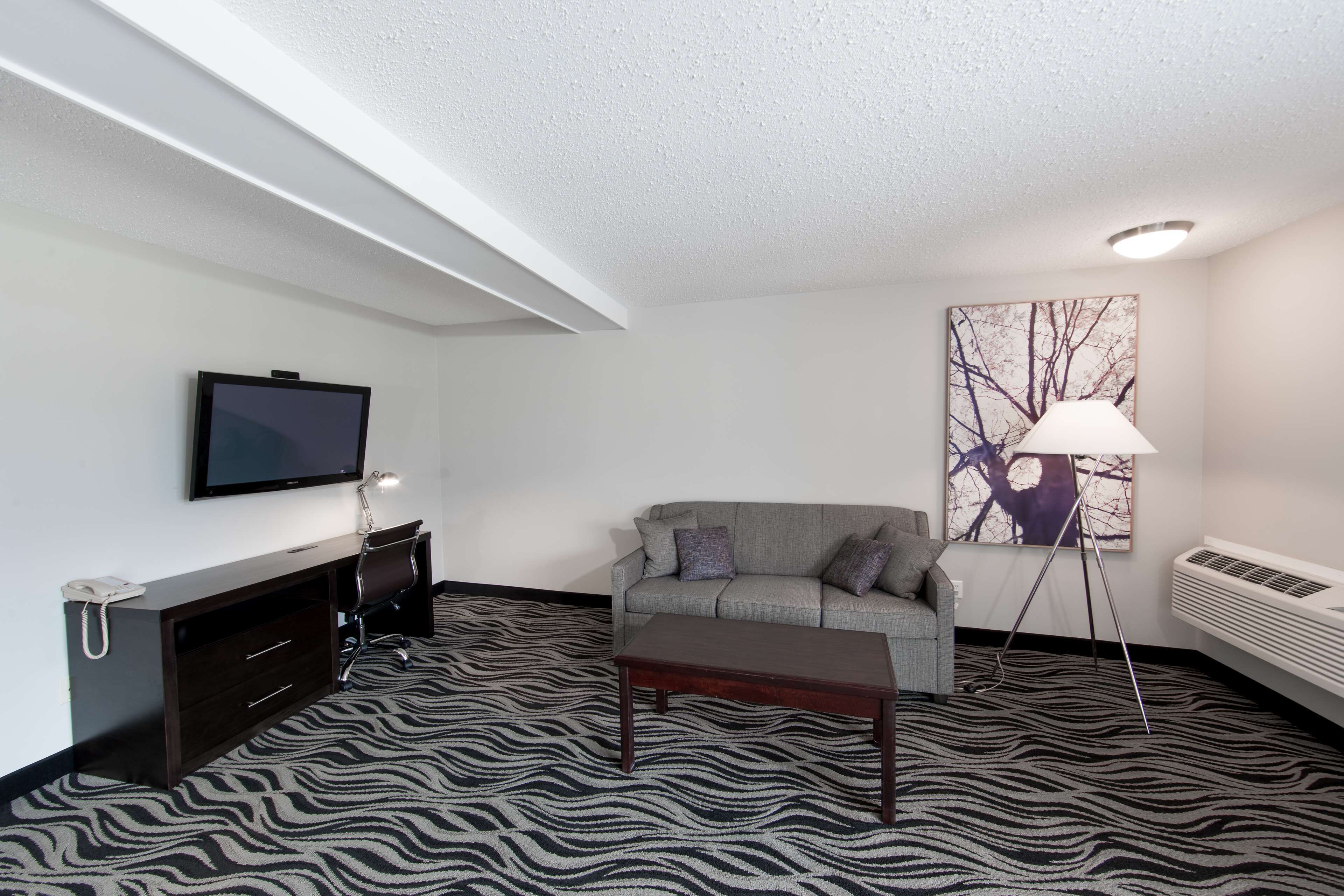 A living room with a zebra-patterned carpet, a sofa, a coffee table, a TV, a lamp, and a painting on the wall.