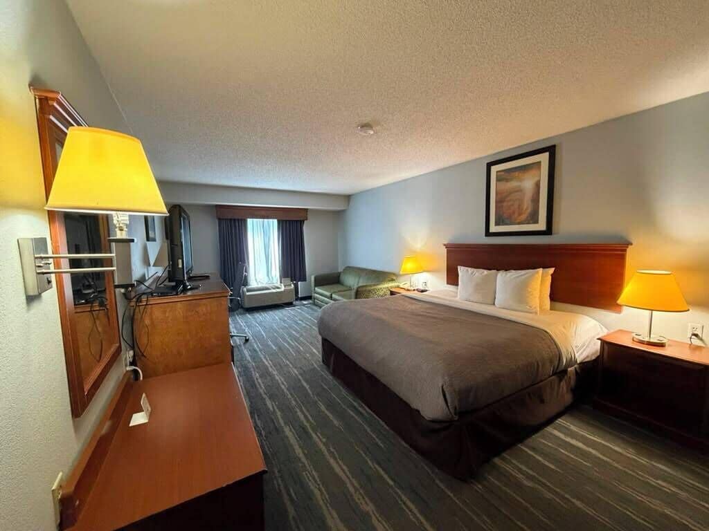Deluxe Room, 1 King Bed, Non Smoking