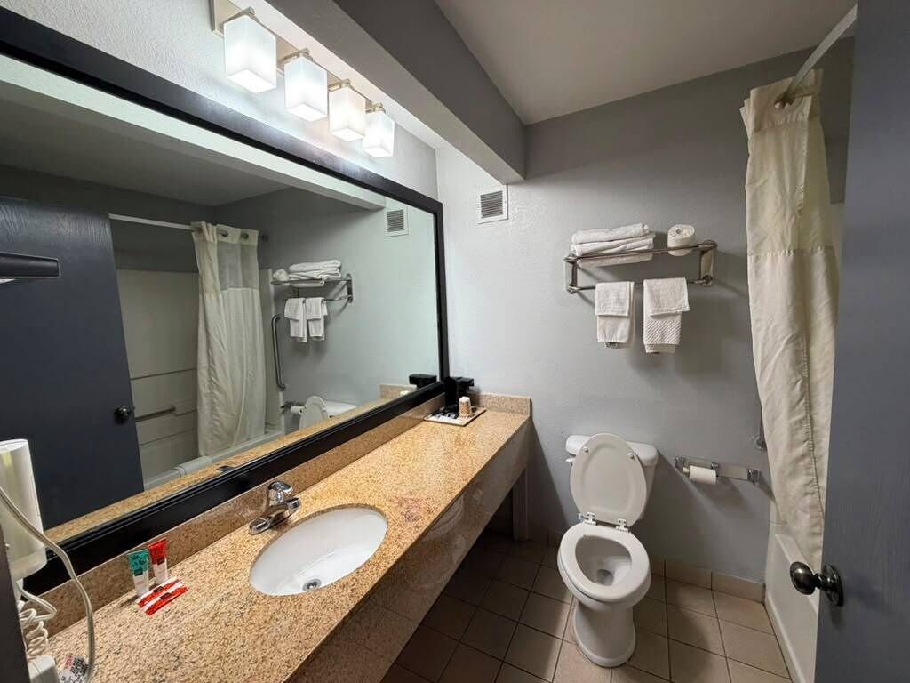 Un baño con lavamanos, espejo, inodoro y toallero.