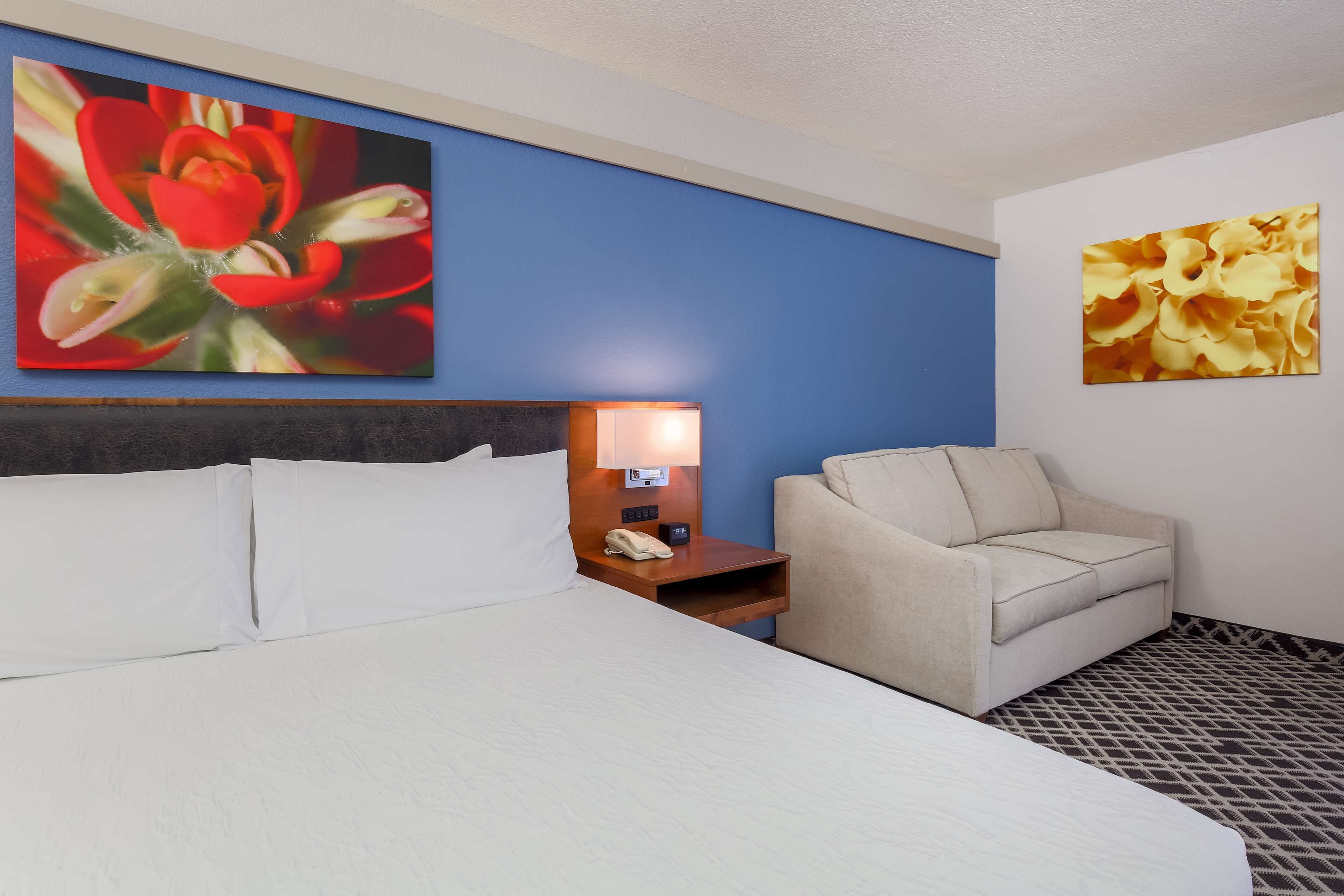 deluxe king w/sofabed | in-room safe, blackout curtains, soundproofing, iron/ironing board