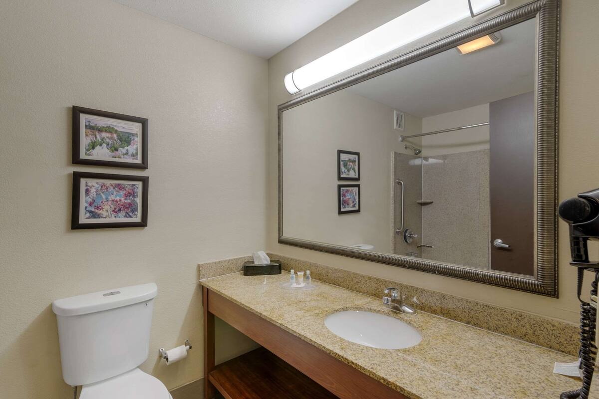 Un baño con inodoro, lavabo y un espejo grande. Hay cuadros enmarcados en la pared.