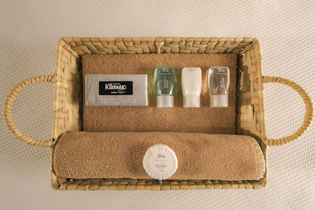 shower, free toiletries, hair dryer, towels