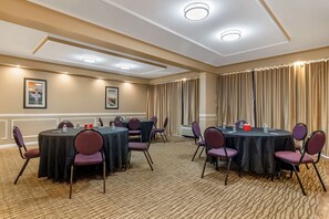 Meeting facility - Comfort Inn & Suites Athens North (Athens)