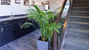 A modern kitchen with dark cabinetry, a sink, and a potted plant.