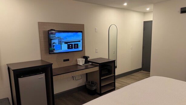 A hotel room with a bed, a desk with a TV, a microwave, and a trash bin. - Ramada by Wyndham Albany GA (Albany)