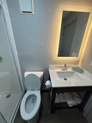 Combined shower/bathtub, free toiletries, hair dryer, towels
