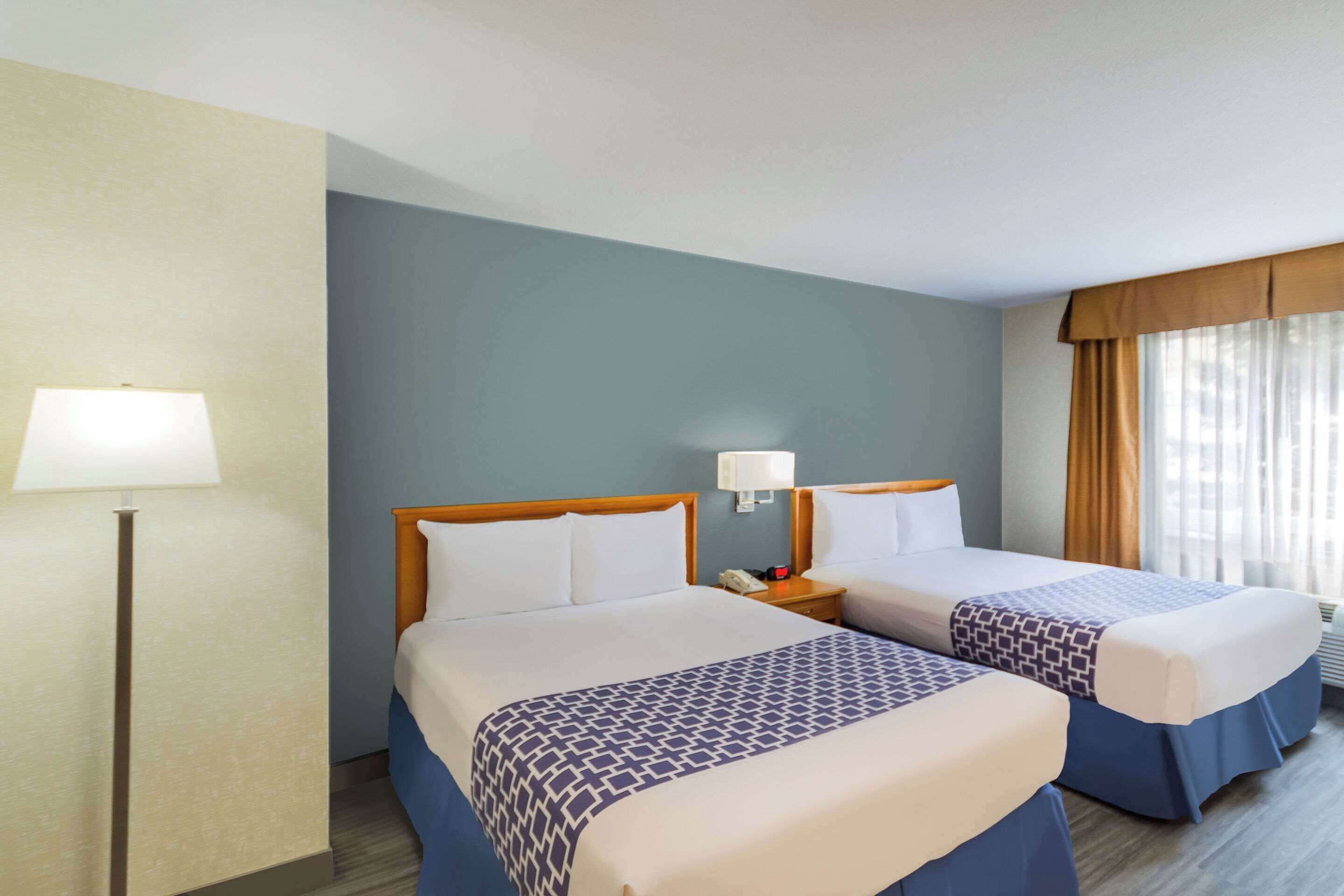 Une chambre d’hôtel avec deux lits, une table de chevet avec une lampe et une fenêtre avec des rideaux.