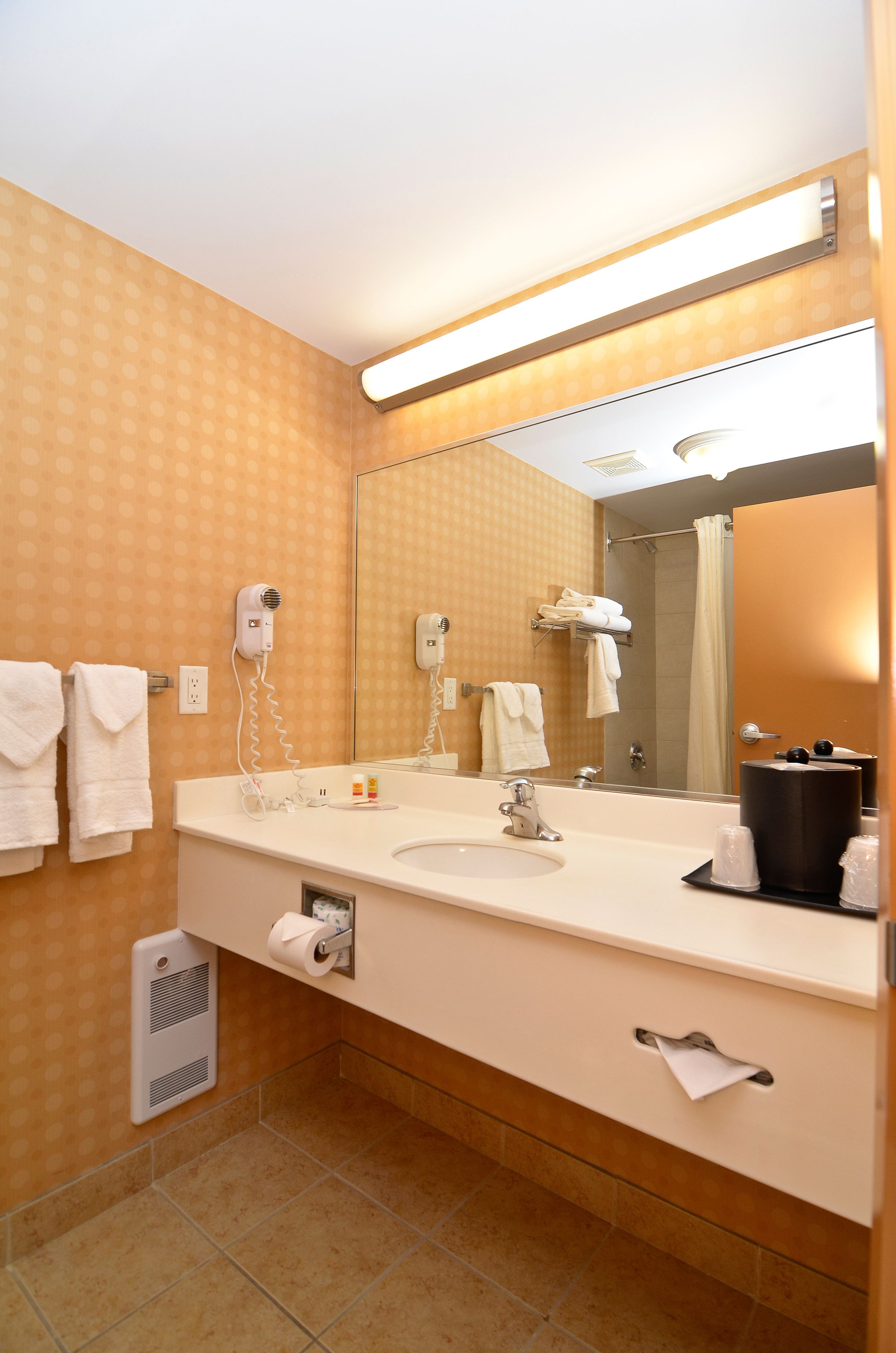 Foto - Econo Lodge Inn & Suites University
