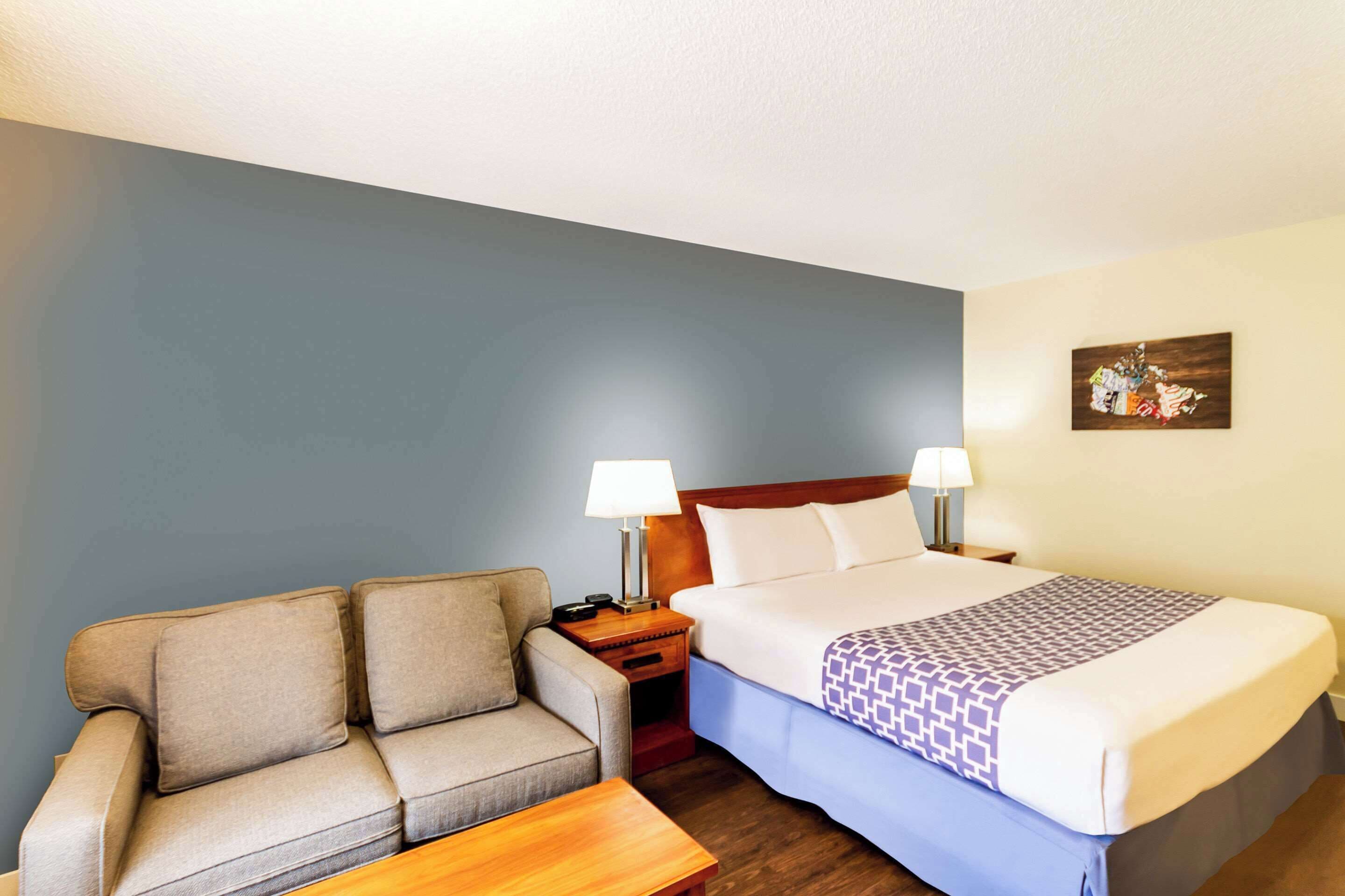 Una habitación de hotel con una cama, un sofá, una mesita de noche con lámparas y un cuadro colgado en la pared.