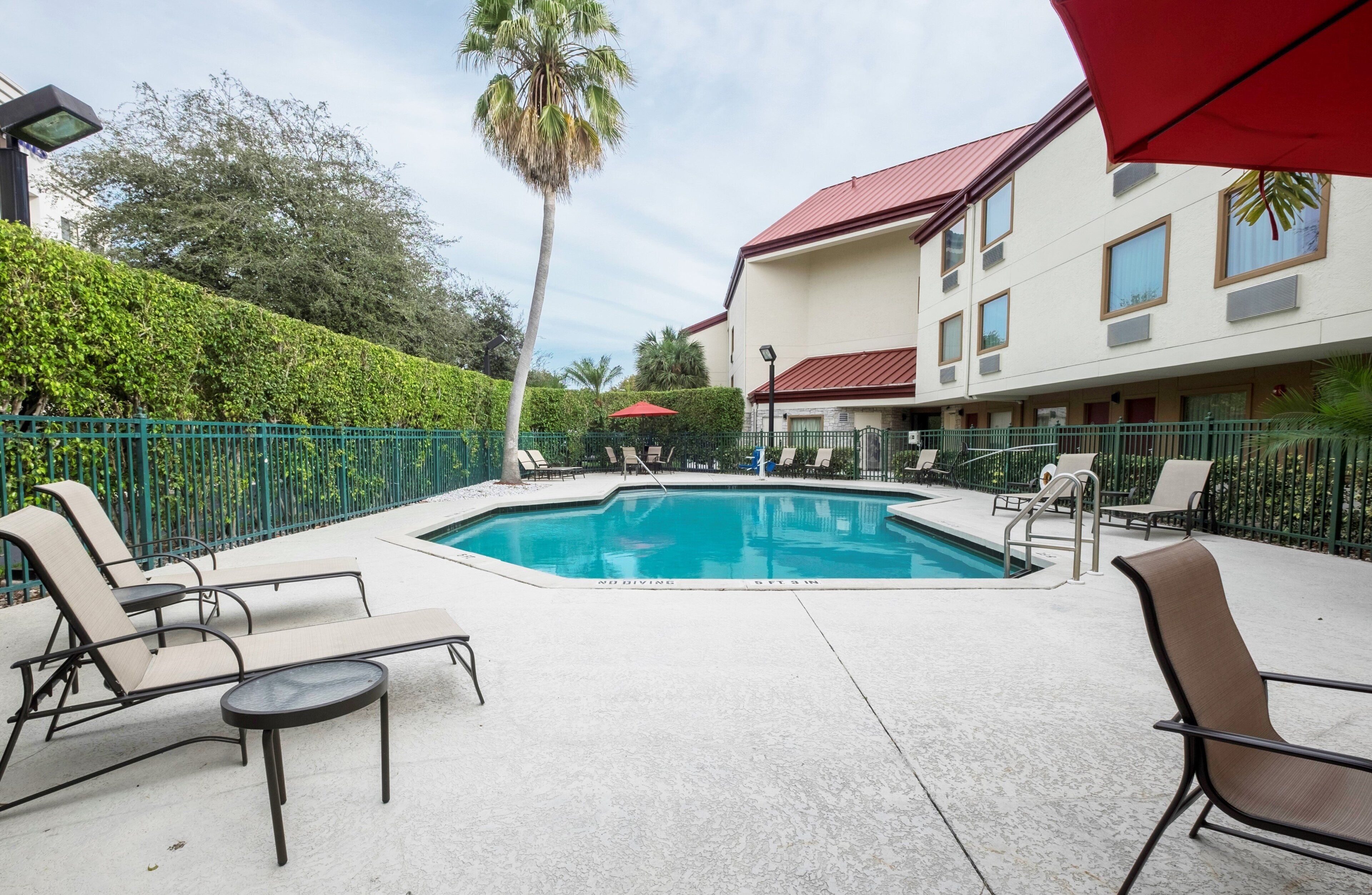 Outdoor pool, pool umbrellas, pool loungers