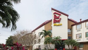 Un hotel Red Roof Plus con fachada de piedra, palmeras y un estacionamiento.