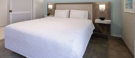 Habitación de hotel con una cama grande, dos mesitas de noche con lámparas, una puerta y un cuadro en la pared.