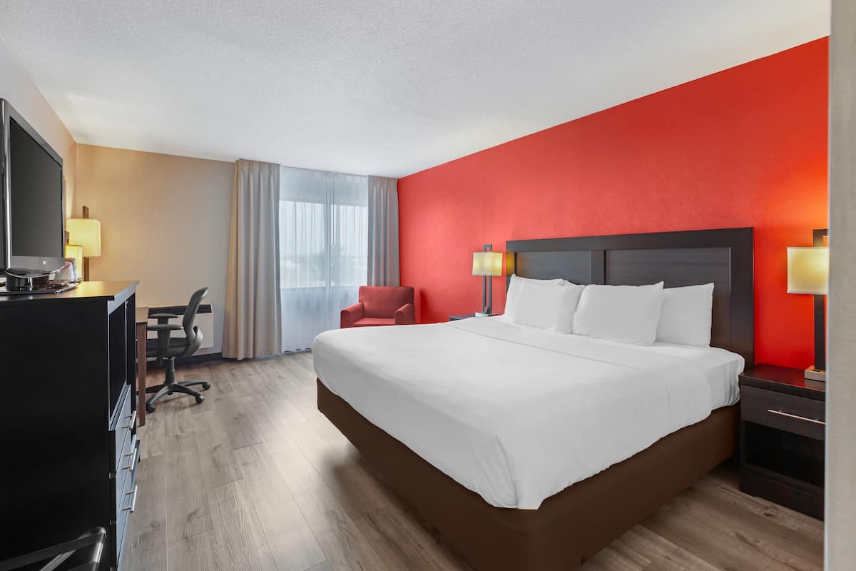 Dundyner, skrivebord, mørklægningsgardiner, lydisolering