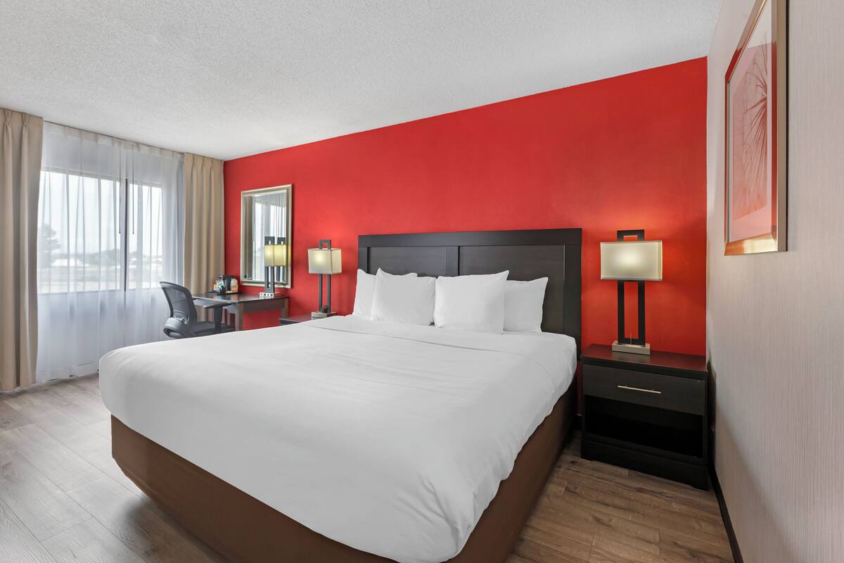 Suite, 1 trĂšs grand lit et 1 canapĂ©-lit, non-fumeur | Couette en duvet, bureau, rideaux dâobscurcissement