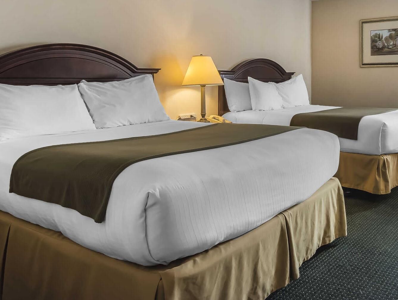 ألحفة محشوة بالريش ومكتب وستائر تعتيم وتجهيزات عازلة للصوت